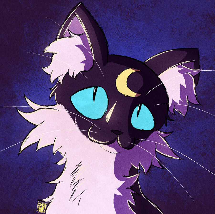 icon2 icon2